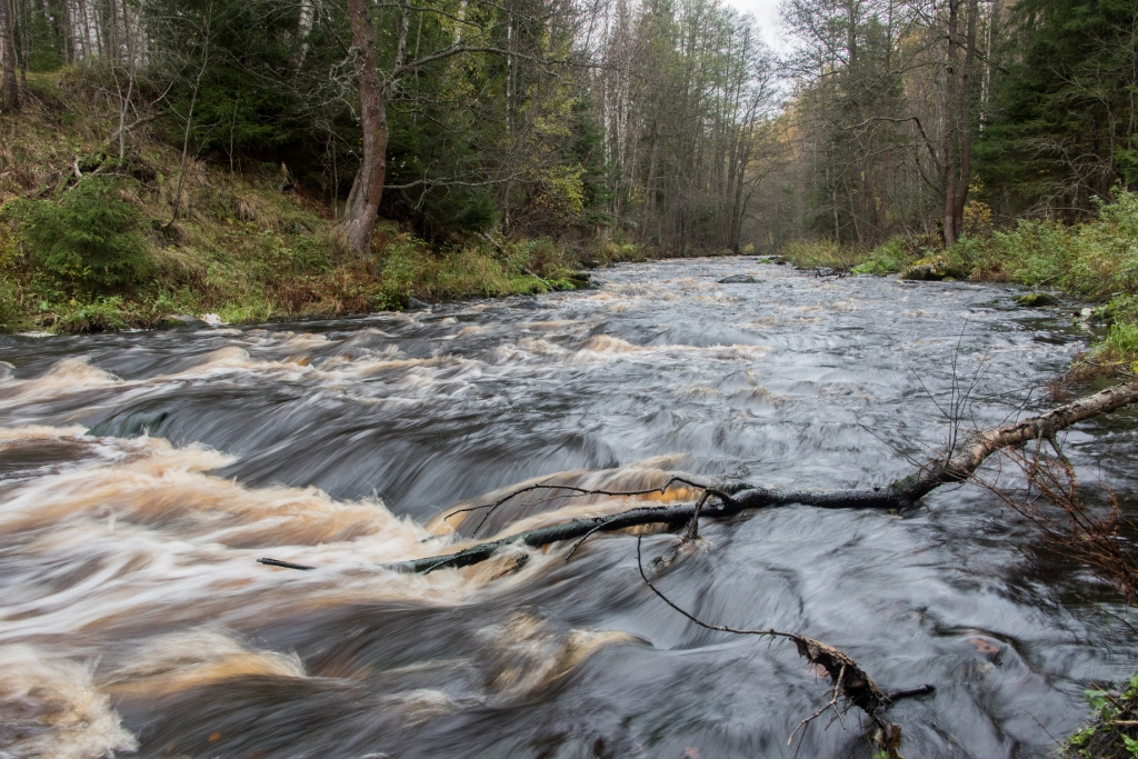 Линдуловская роща